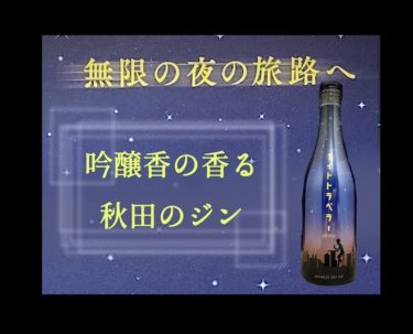 【ナイトトラベラー】吟醸香の香る日本酒のようなジン【評価・レビュー】